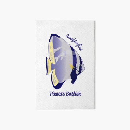 Batfish Wall Art for Sale