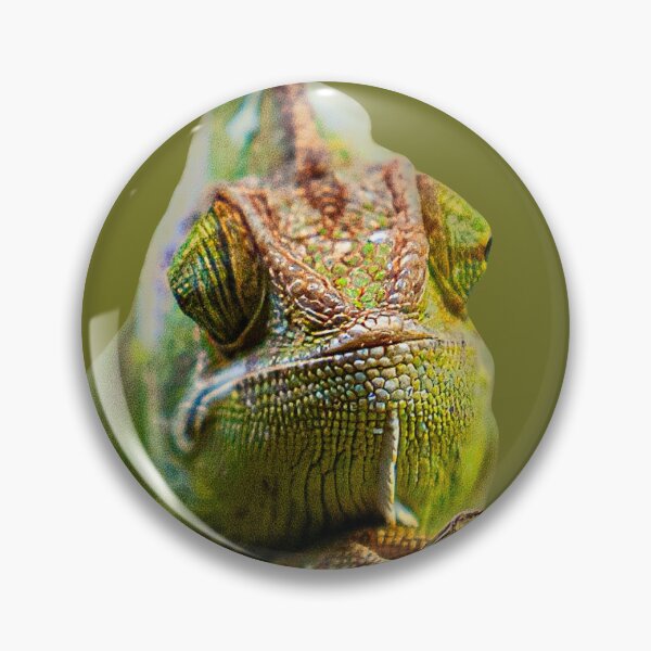 Item preview, Who you looking at! designed and sold by Dalyndigital Photography.