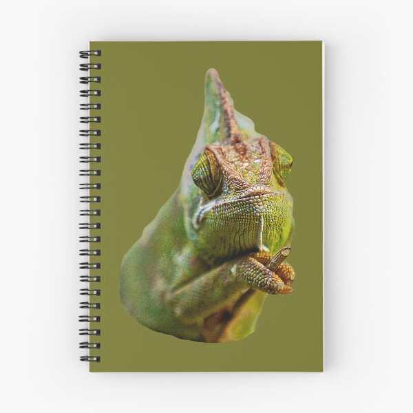 Item preview, Who you looking at! designed and sold by Dalyndigital Photography.