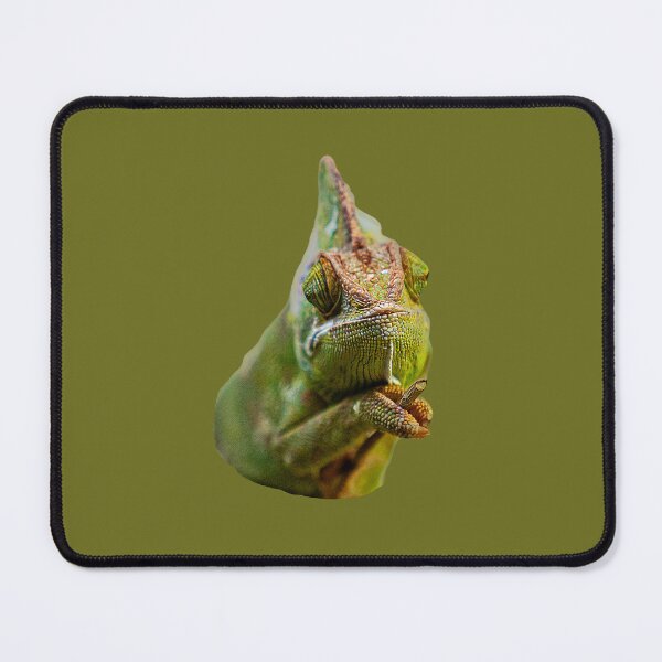 Item preview, Who you looking at! designed and sold by Dalyndigital Photography.