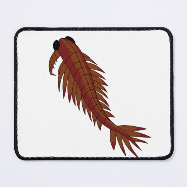 Item preview, Anomalocaris designed and sold by Shinzo-Art.