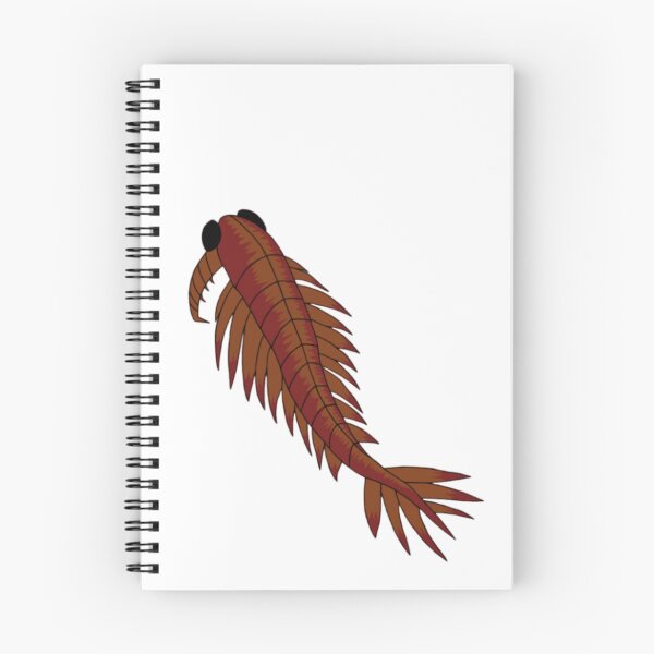 Item preview, Anomalocaris designed and sold by Shinzo-Art.