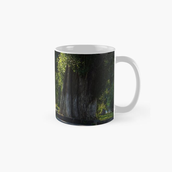 beautiful chestnut alley in summer Classic Mug