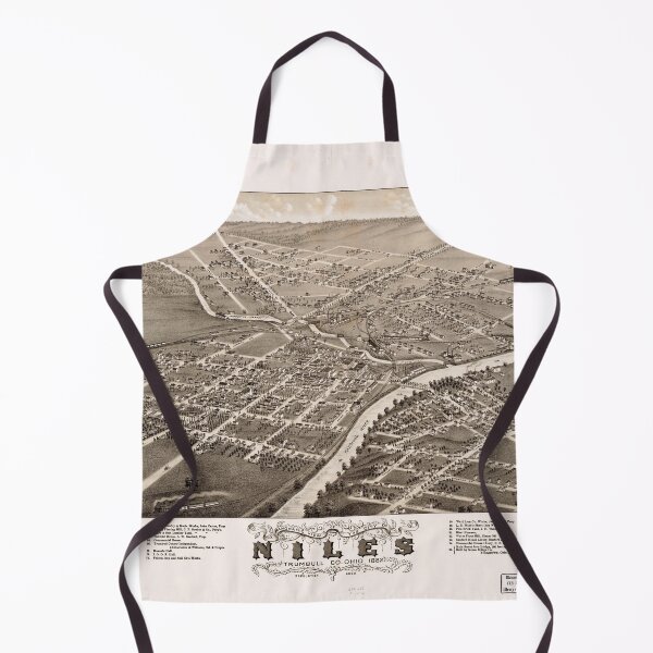 Item preview, Niles, Ohio (1882) designed and sold by allhistory.