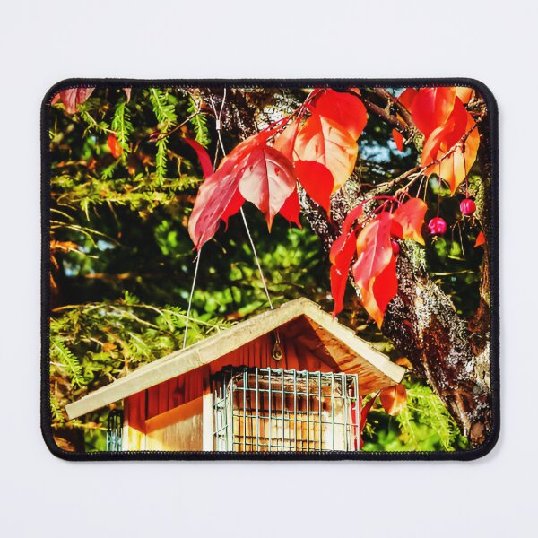 Item preview, Bird house  designed and sold by Nensy fensy .
