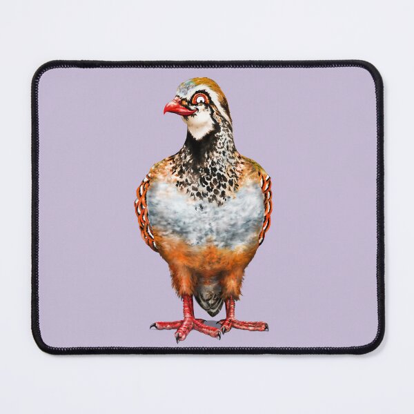 Item preview, Partridge - Minus the Pear Tree | Cartoon Game Bird designed and sold by Snootrac.