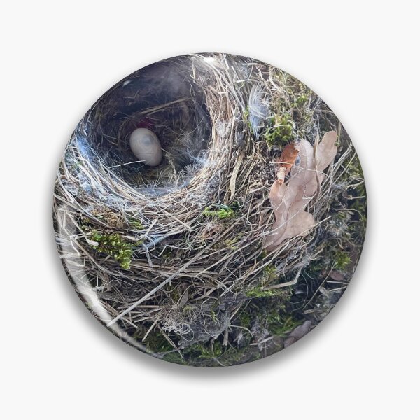 Item preview, Birds Nest inside the Bathroom designed and sold by Christine  Wilson Photos.