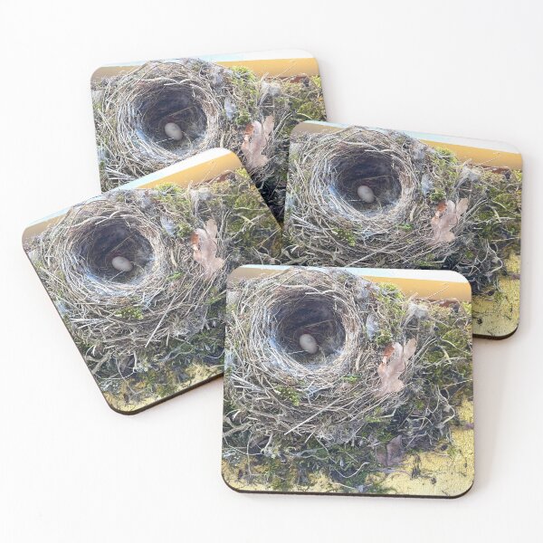 Item preview, Birds Nest inside the Bathroom designed and sold by Christine  Wilson Photos.