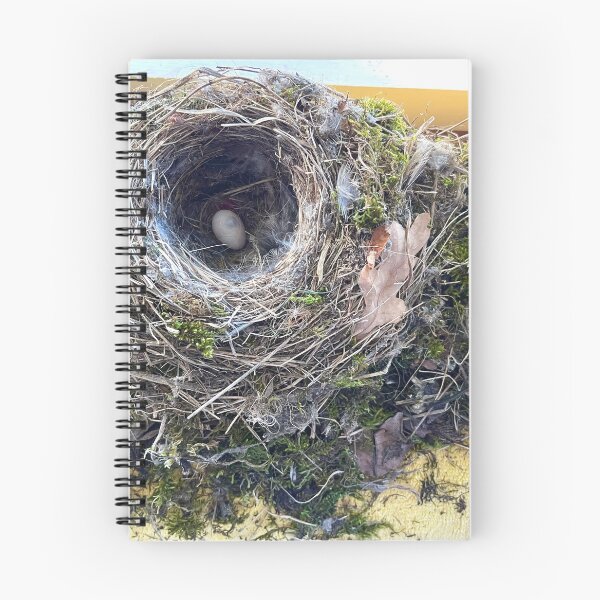 Item preview, Birds Nest inside the Bathroom designed and sold by Christine  Wilson Photos.