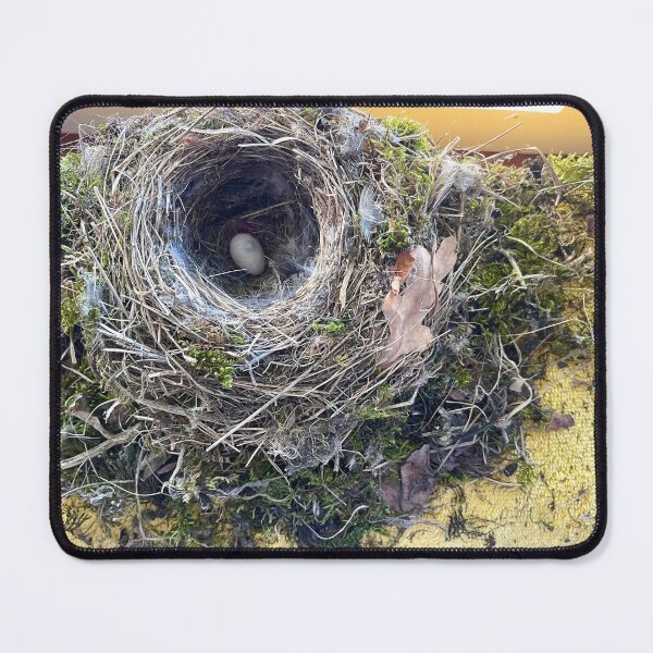 Item preview, Birds Nest inside the Bathroom designed and sold by Christine Wilson Photos.