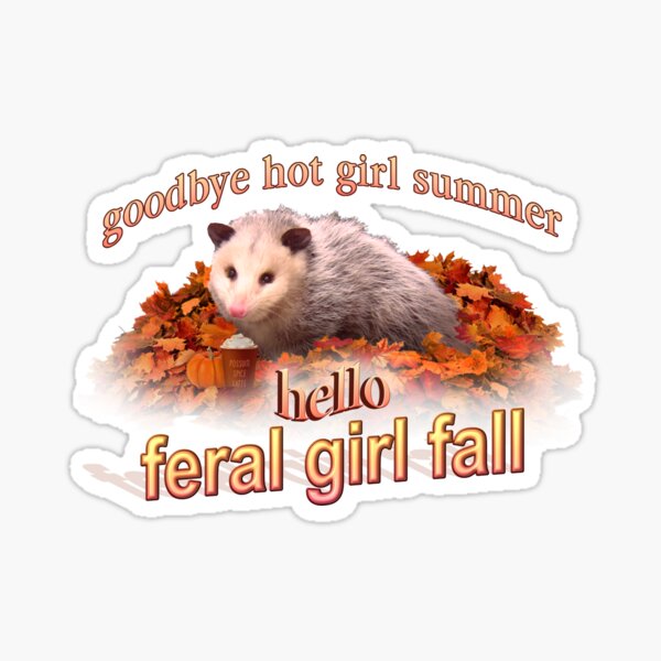 Aperçu de l'œuvre Bonjour Feral Girl Fall (au revoir l'été des filles chaudes) - Esthétique de l'opossum d'automne créée et vendue par snazzyseagull.