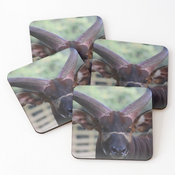 Item preview, Eastern Bongo designed and sold by WildByGhislaine.