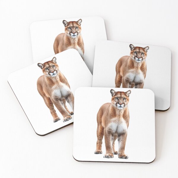 Item preview, Cougar - Soft Elegance designed and sold by Kkoriginal.