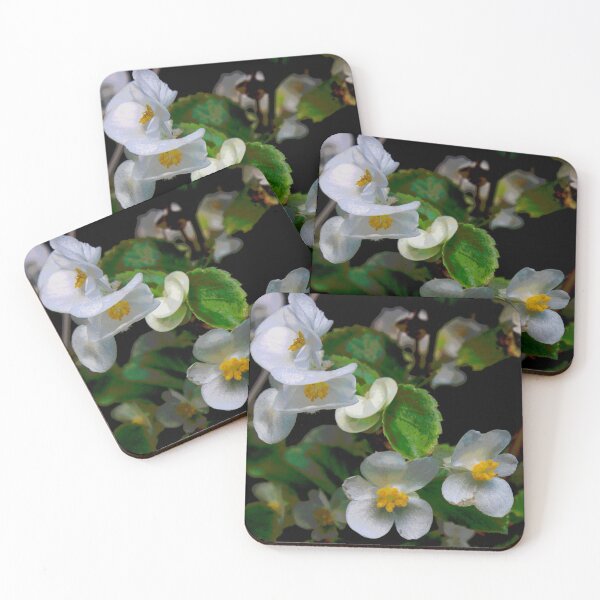 Item preview, Small White Blossoms designed and sold by htrobinsonfotos.