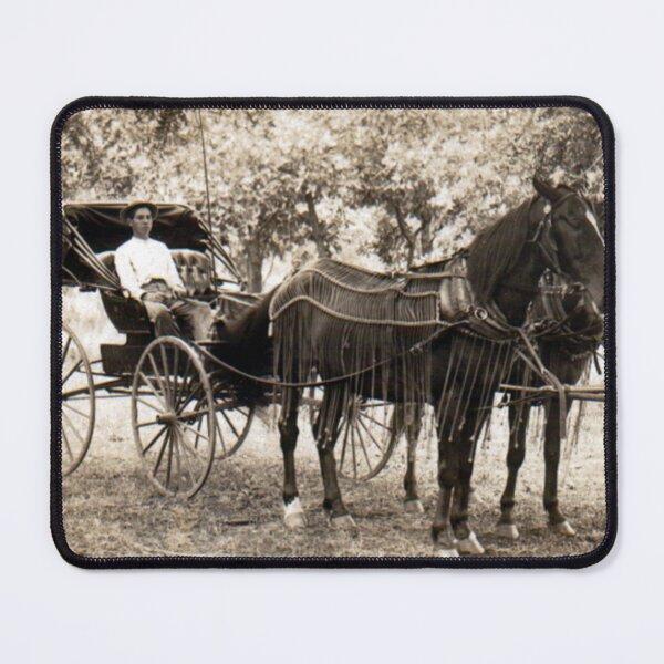 Item preview, horse and buggy designed and sold by Francespoppy.