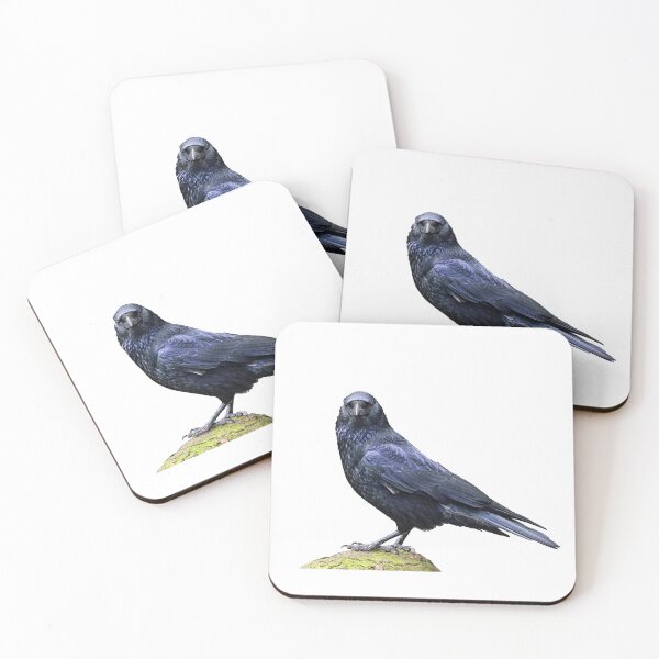 Item preview, Carrion crow looking at you angrily designed and sold by kavohh707.