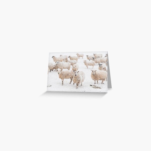 Item preview, snowy sheep designed and sold by Kay Roxby.