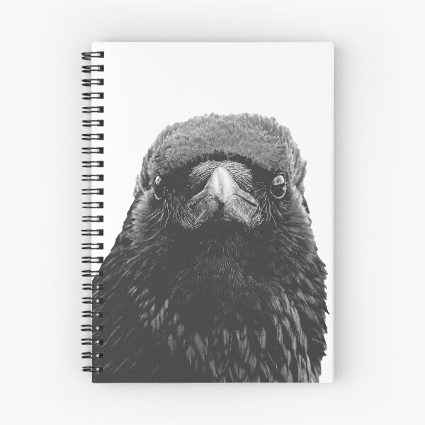 Item preview, The crow is looking straight at you designed and sold by kavohh707.