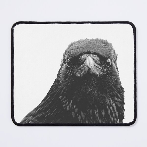 Item preview, The crow is looking straight at you designed and sold by kavohh707.