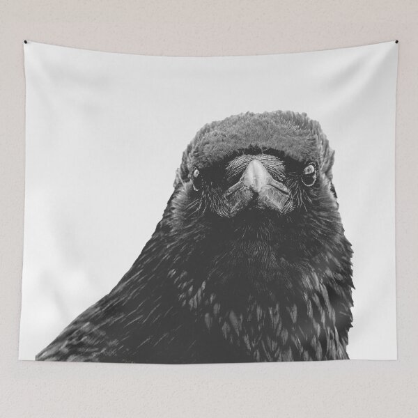 Item preview, The crow is looking straight at you designed and sold by kavohh707.