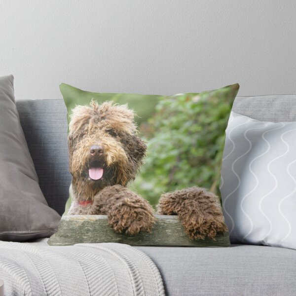Item preview, Adorable Brown Labradoodle Hangs His Paws Over a Wooden Fence designed and sold by ScienceSource.