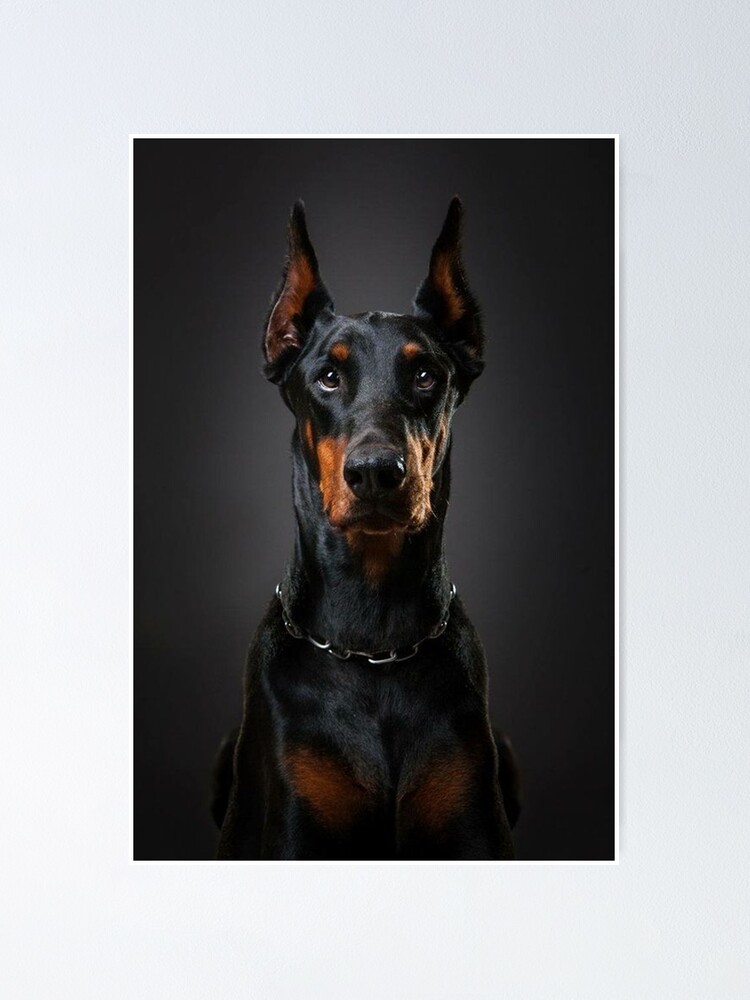 Balenciaga Doberman Poster | ubicaciondepersonas.cdmx.gob.mx