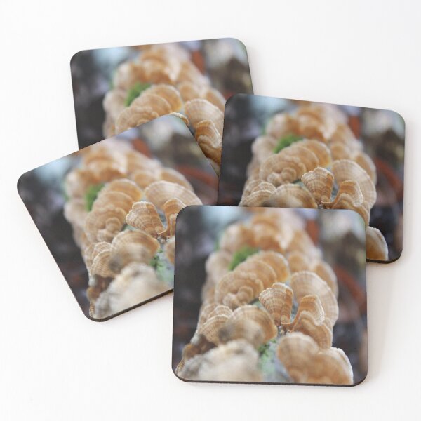 Item preview, Mushrooms designed and sold by Txtornado65.