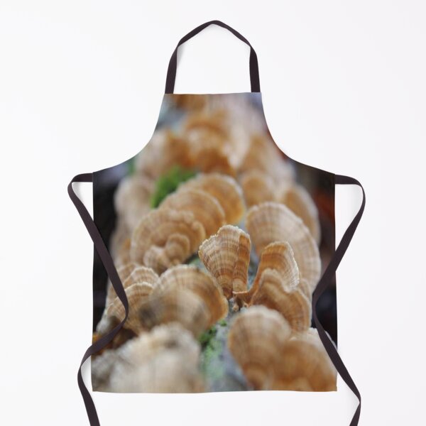 Item preview, Mushrooms designed and sold by Txtornado65.