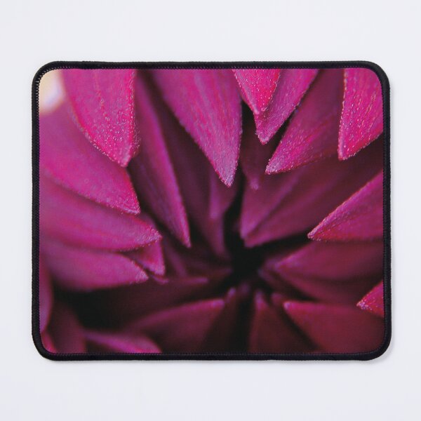 Item preview, Purple aster close-up designed and sold by kavohh707.