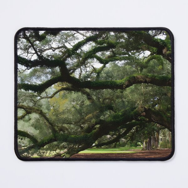 Item preview, Ancient Oaks designed and sold by Txtornado65.