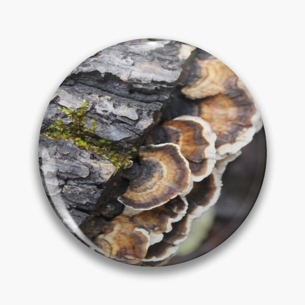 Item preview, Turkey mushrooms  designed and sold by Txtornado65.