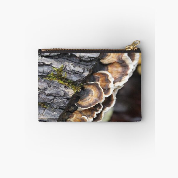 Item preview, Turkey mushrooms  designed and sold by Txtornado65.