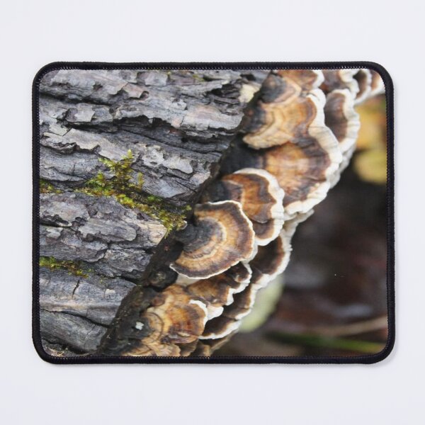 Item preview, Turkey mushrooms  designed and sold by Txtornado65.
