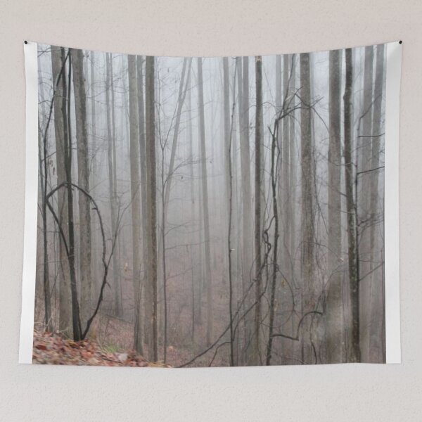 Item preview, Foggy Forest designed and sold by Txtornado65.