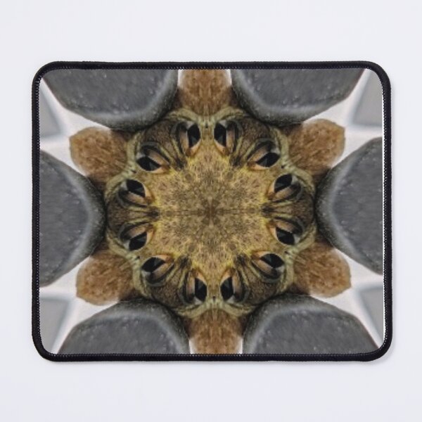 Item preview, Frog Eye Kaleidoscope designed and sold by HazelEyeStudio.