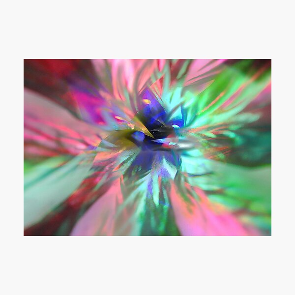 Flower with butterfly Photographic Print