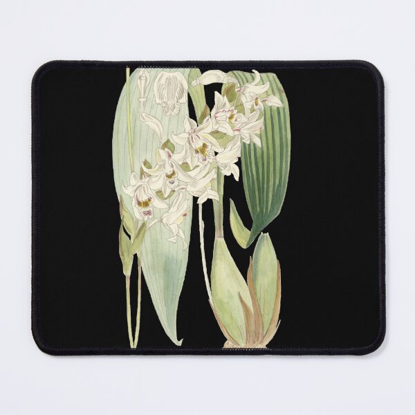 Item preview, Burbidge Borneo Orchids designed and sold by DreamingBeetle.