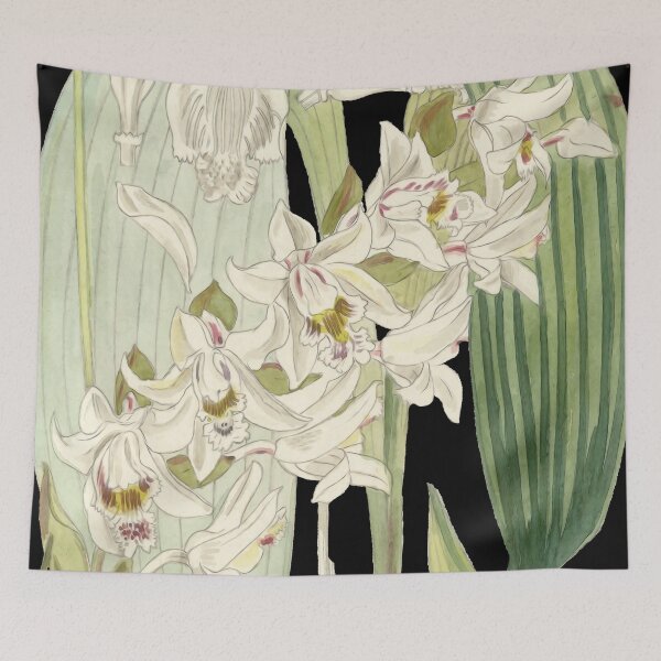 Item preview, Burbidge Borneo Orchids designed and sold by DreamingBeetle.