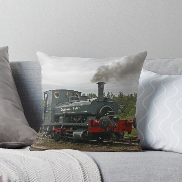Item preview, Saddle Tank Loco, Beamish, May 2023 designed and sold by RedHillDigital.
