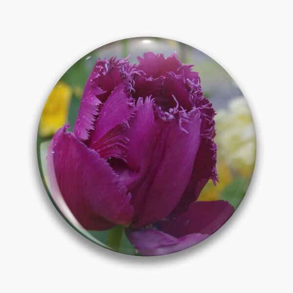 Item preview, Purple Fringe Tulip - Somerset Garden UK designed and sold by lezvee.