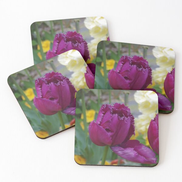 Item preview, Purple Fringe Tulip - Somerset Garden UK designed and sold by lezvee.
