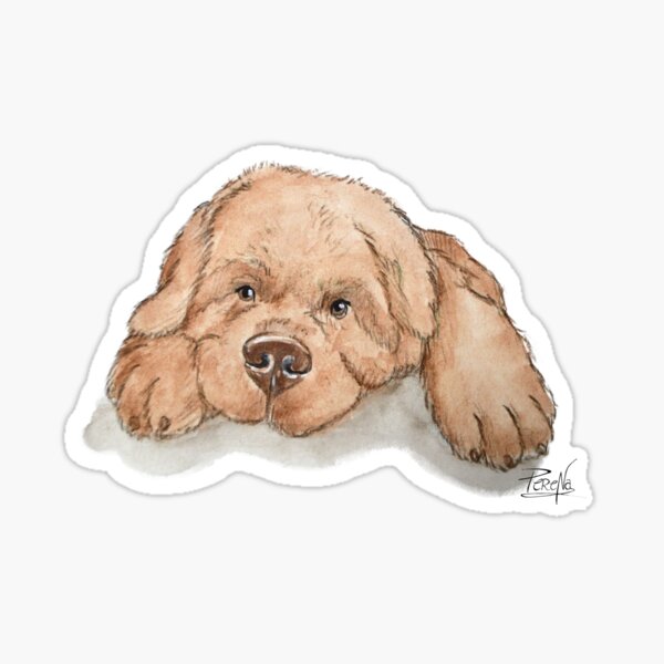 Terre neuve brun Sticker