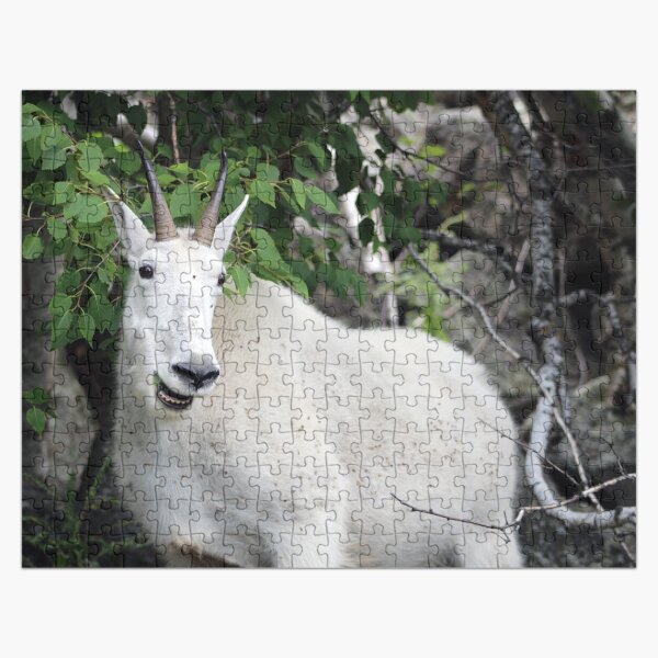Happy Mountain Goat Photography Puzzle Jigsaw Puzzle