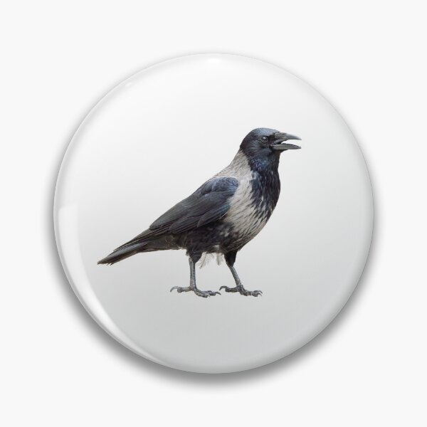 Item preview, Hooded Crow says hello designed and sold by kavohh707.