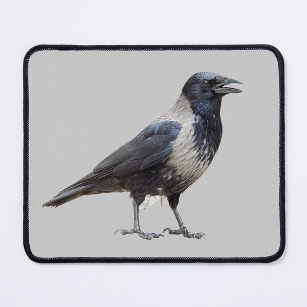 Item preview, Hooded Crow says hello designed and sold by kavohh707.