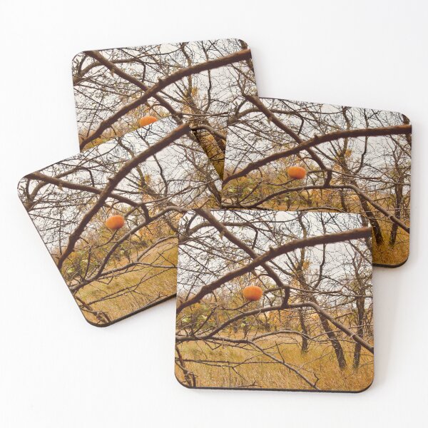Item preview, Poison Apple - Nature Photo designed and sold by Kara Cooper.