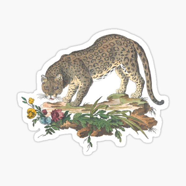 Item preview, Jaguar in Dirt with Flowers Vintage Chromolithograph Innocente Alessandri designed and sold by ElegantTeaTime.