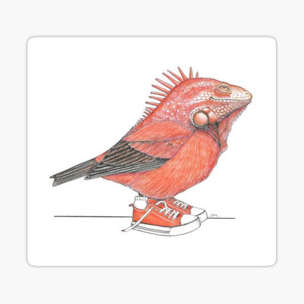 Item preview, Hawaiian Akepa Iguana in Low Tops designed and sold by JimsBirds.