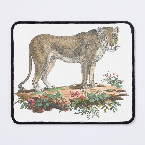Item preview, Lioness Standing in Dirt with Flowers Vintage Chromolithograph Innocente Alessandri Painting Animal Lover Gift designed and sold by ElegantTeaTime.