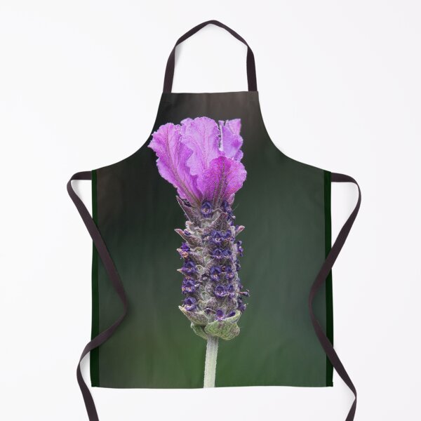 Aperçu de l'œuvre Variété de cultivar à fleur de lavande unique « Purple Reign ». créée et vendue par Connie Pinson.